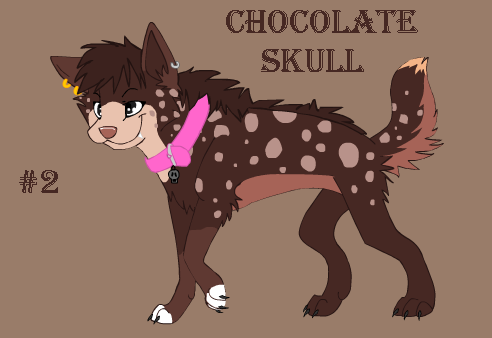 Chocolate Skull.png