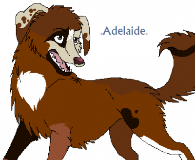 Adelaide2.png