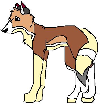 laya1.jpg