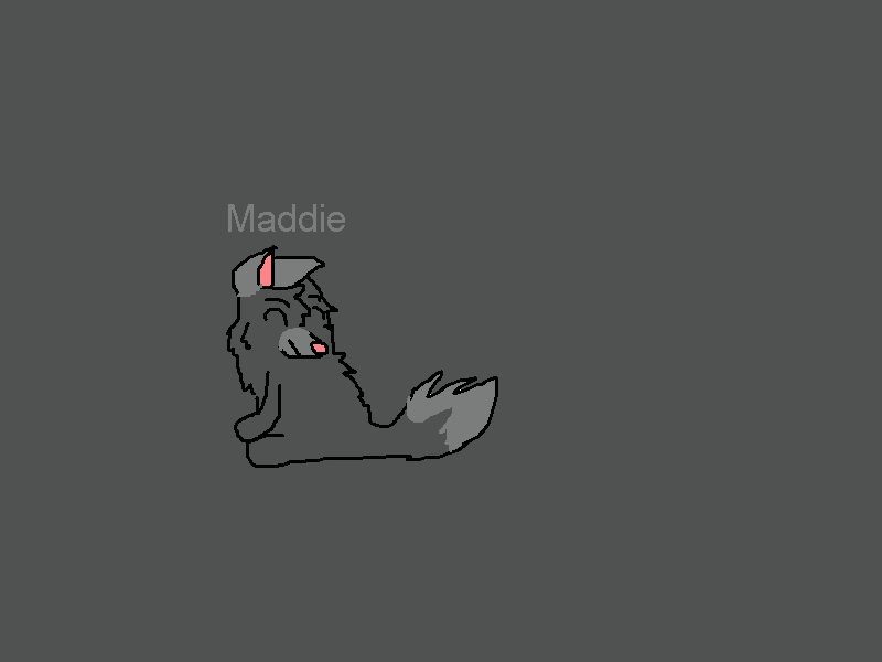 maddie.jpg