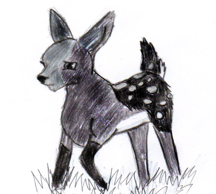 reindeer.jpg