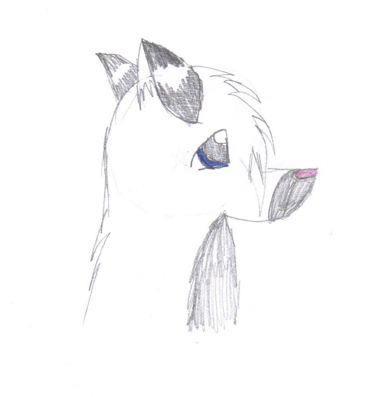 02-16-2009 11;51;16AM.jpg