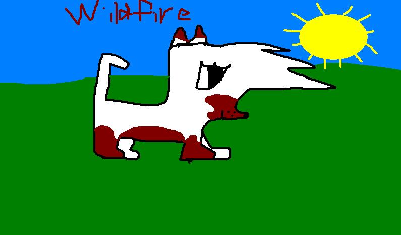 Wildfire.JPG