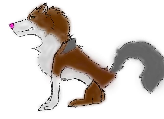 skiira-adoption try.JPG