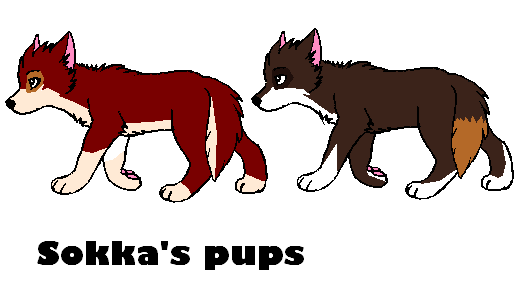 Sokka's pups.PNG