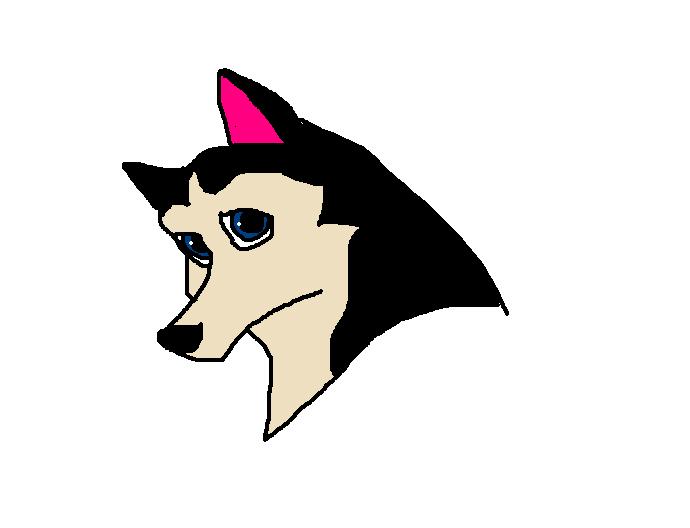 Dog.JPG