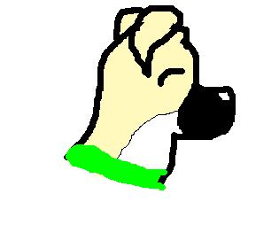 dog.jpg