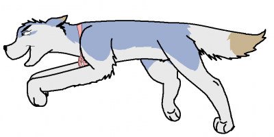 sha.PNG