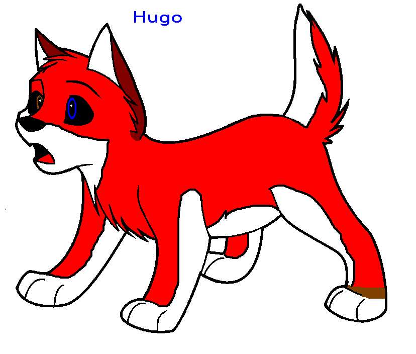 hugo.PNG