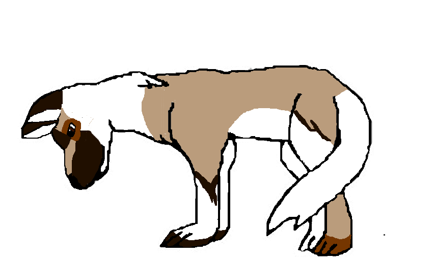 Ryder.png