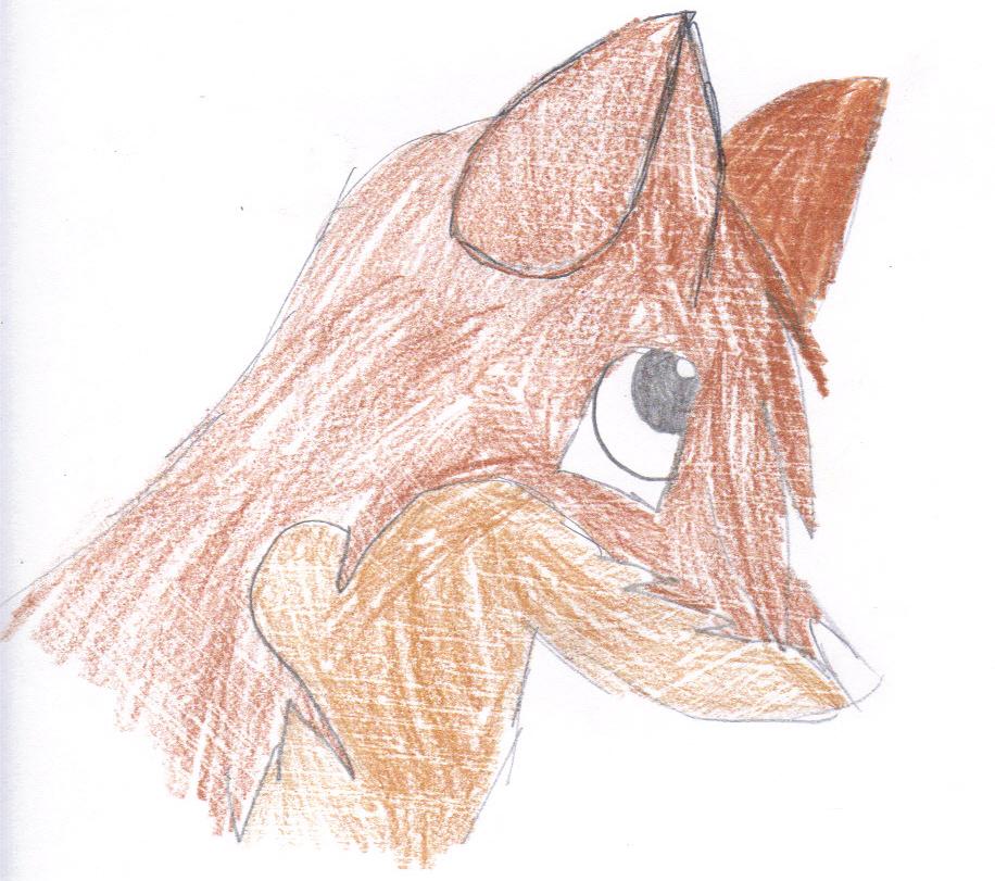 02-16-2009 04;44;55PM.jpg