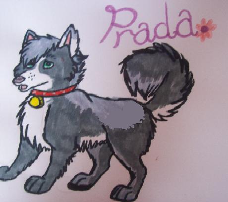 Prada.jpg