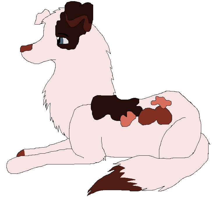 Contestant 001.png