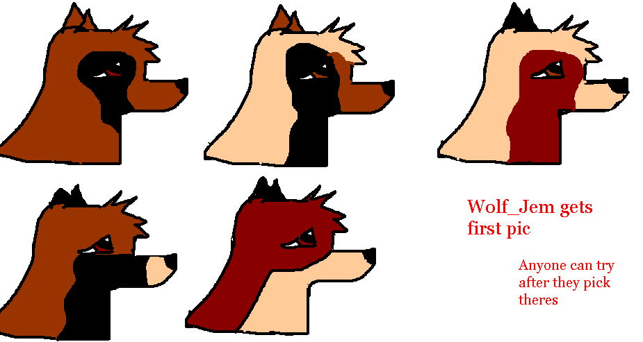 cooool.GIF
