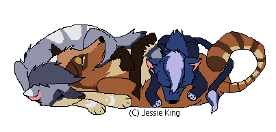 bundle.PNG