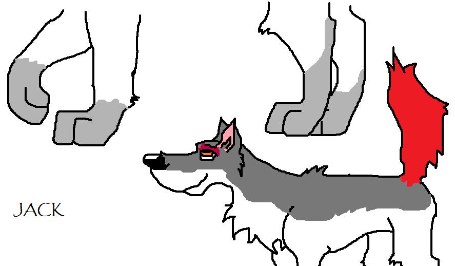 jack.jpg