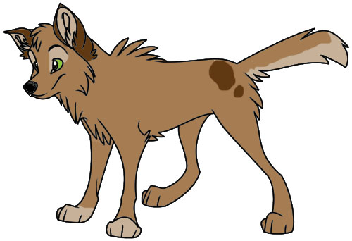 pup1.jpg