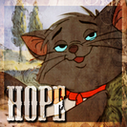 Avatar de l’utilisateur