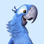 Avatar de l’utilisateur