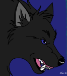 Avatar de l’utilisateur