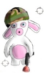 Avatar de l’utilisateur
