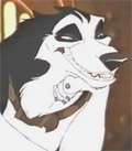 Avatar de l’utilisateur