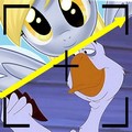 Avatar de l’utilisateur
