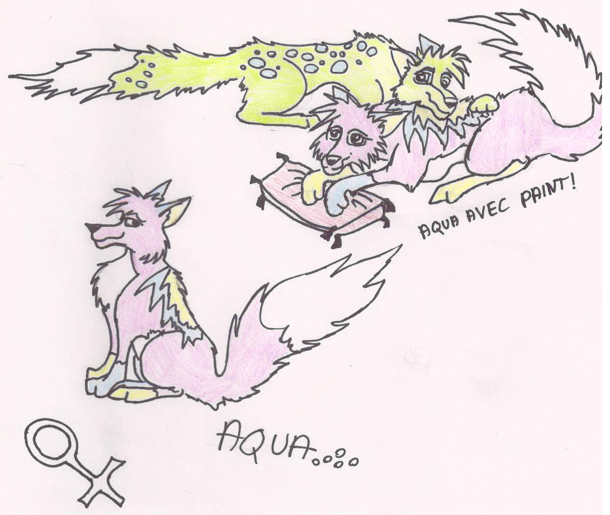balto 013.jpg