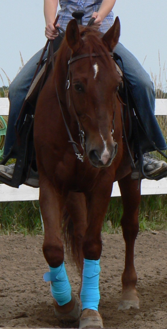 P1020169 copy.JPG