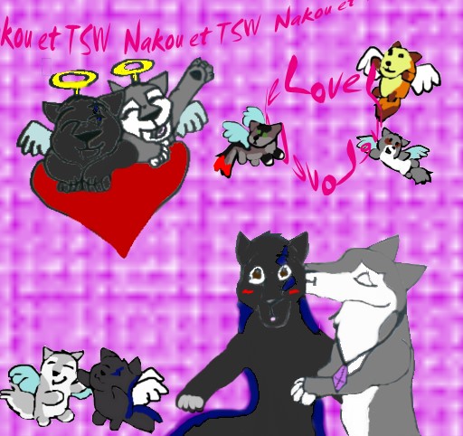 Nakou-TSW-Concours.jpg