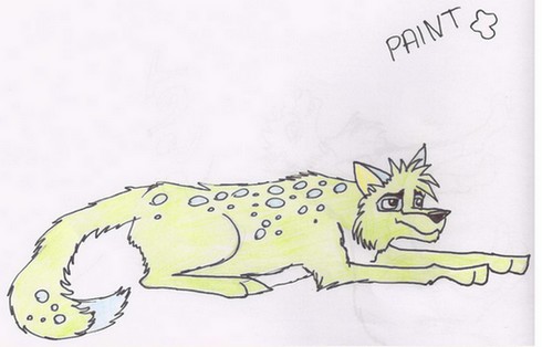 balto 014.jpg