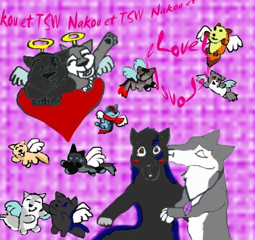 Nakou-TSW-Concours.jpg