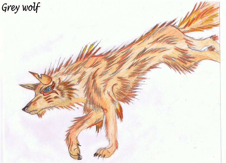 1214598436_tmp_FIRER_WOLF[1].jpg