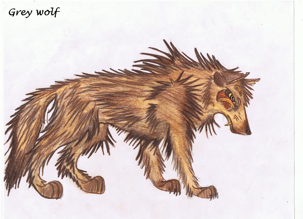 Brown wolf JPEG.JPG