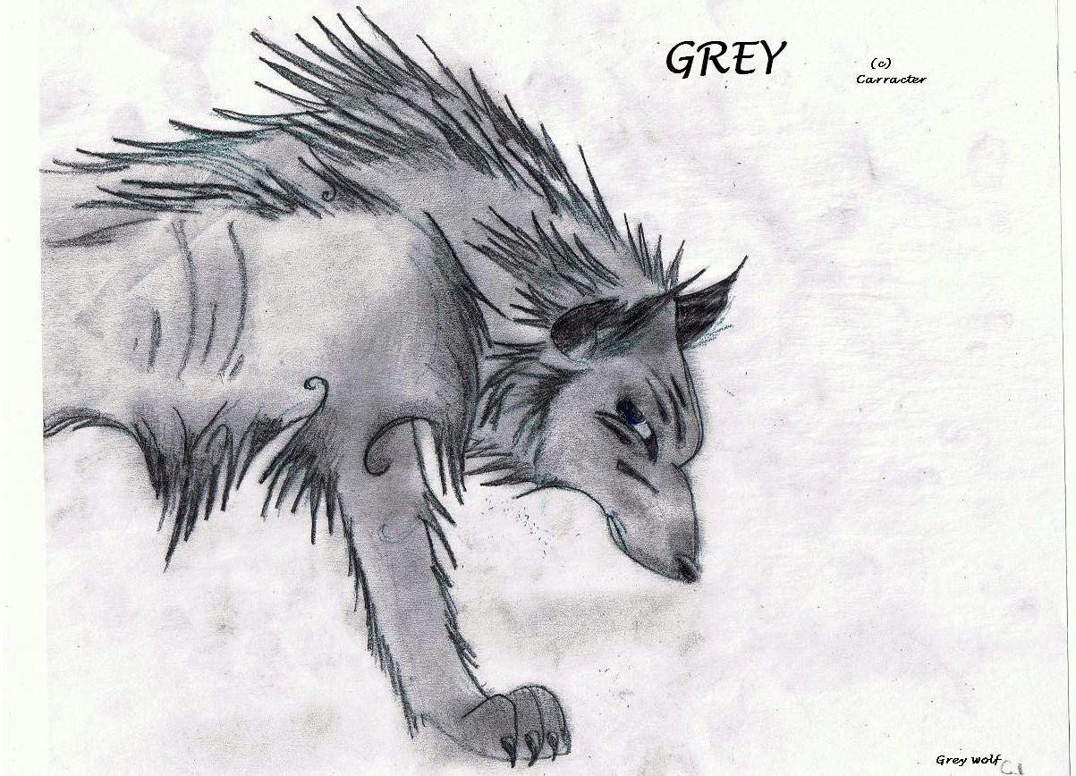 GREY.JPG