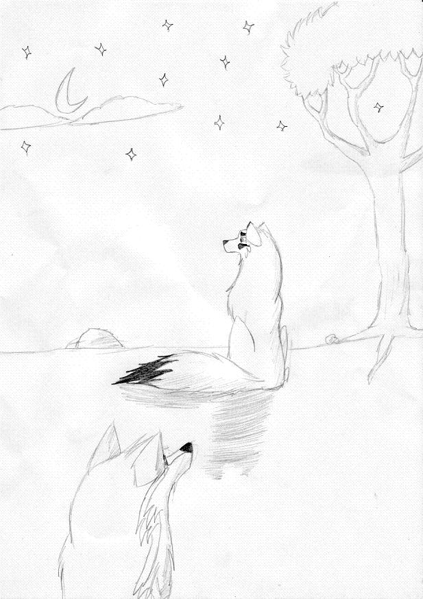 Loup brun.jpg