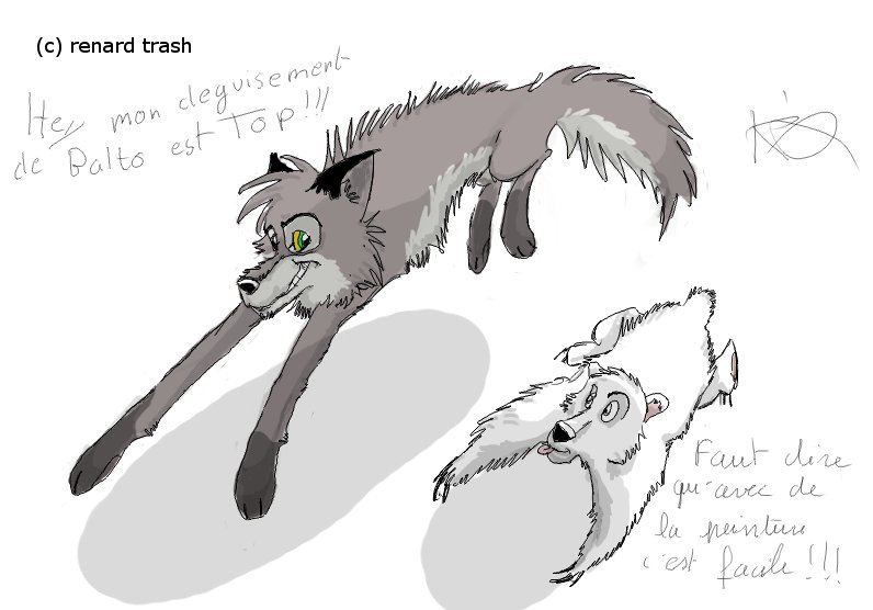 balto.jpg