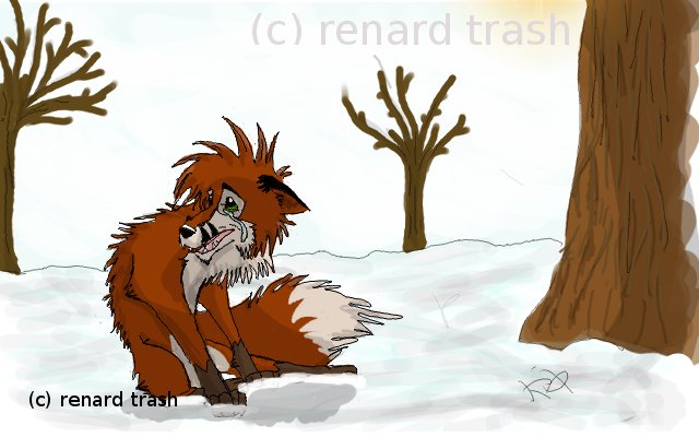 les neiges.jpg