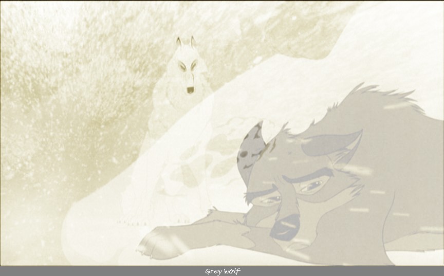 Wolf Heritage Balto .jpg