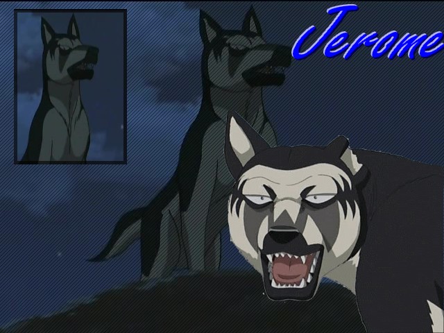 JeromeMontage.jpg