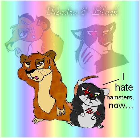 CONTEST.jpg