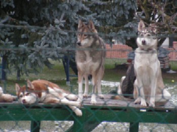 PICT0201.JPG