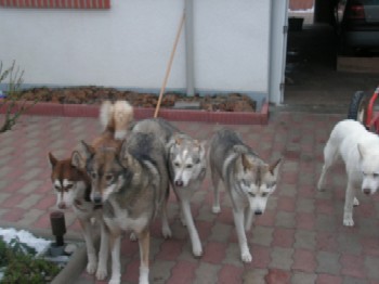 PICT0207.JPG
