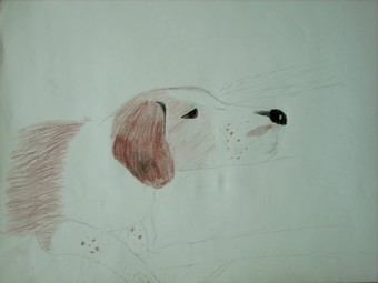 photo-boby 002.jpg