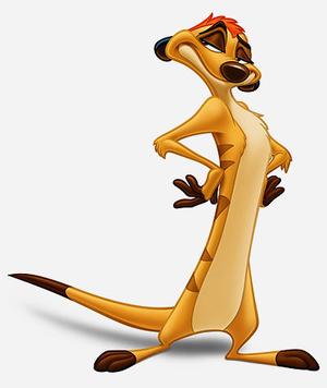 306050-timon_large.jpg