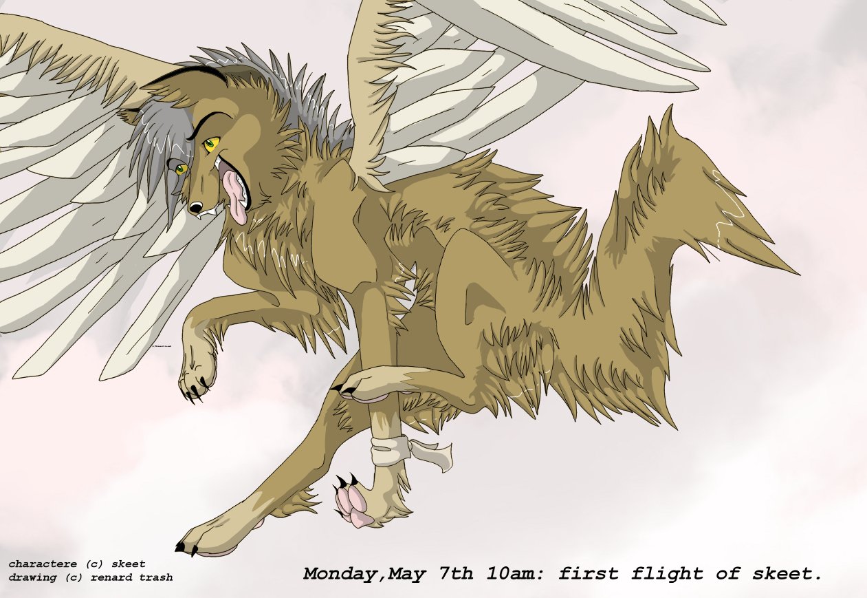 flight.jpg