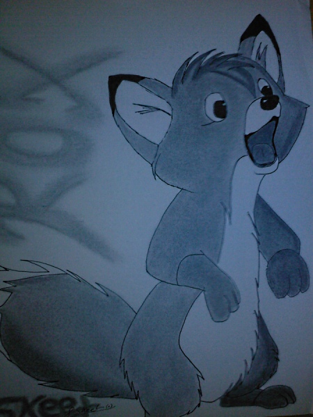 SP_A0390.jpg