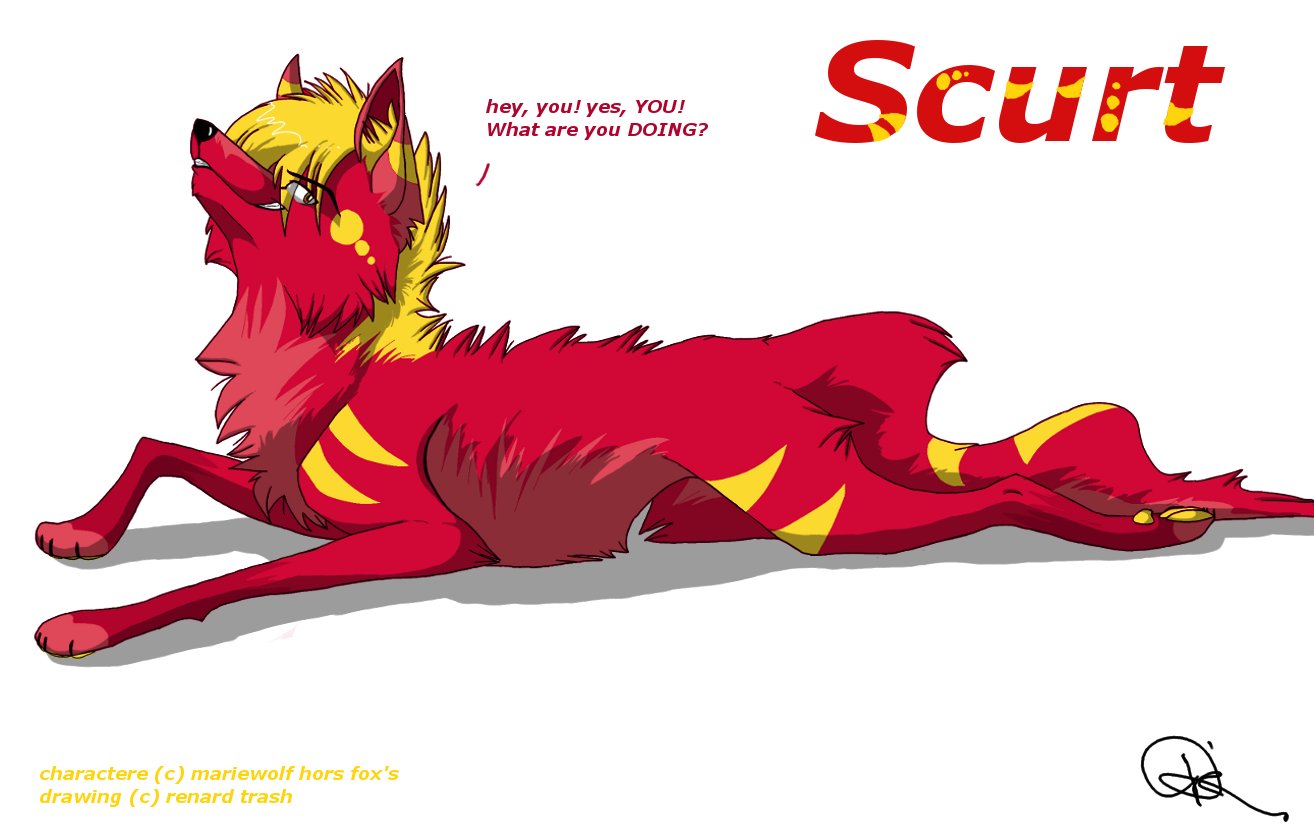 scurt.jpg
