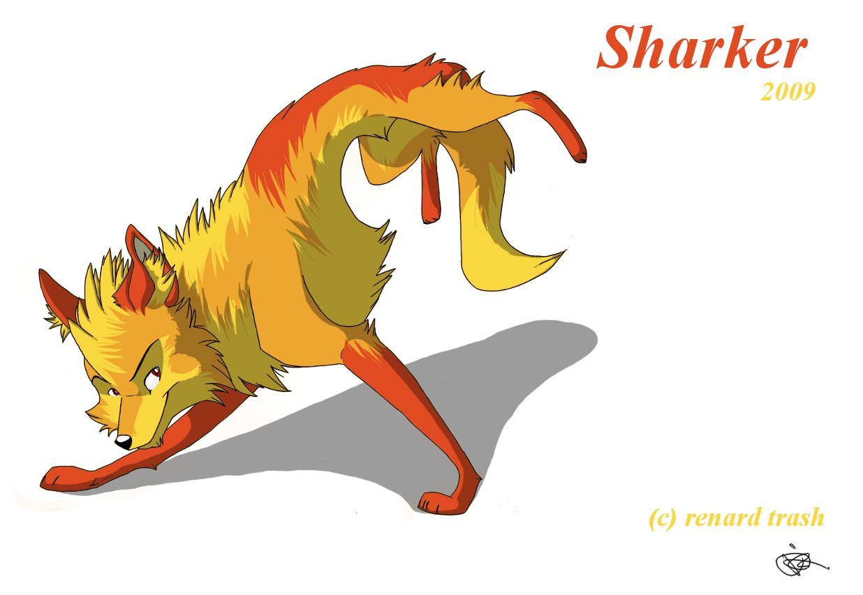 Sharker.jpg