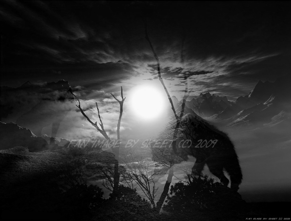 Day & Night by Skeet (c) 2009°.jpg